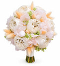 Buchet de mireasă sau nașă cu bujori ivory, hortensie roz pal, gipsofilă verde și lagurus piersică